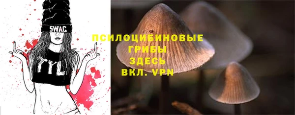 бошки Медвежьегорск