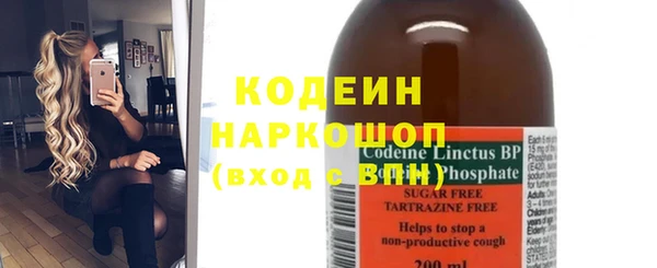 шишки Мегион