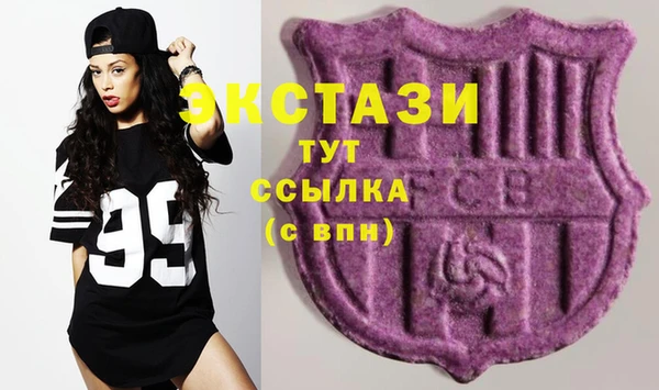 шишки Мегион