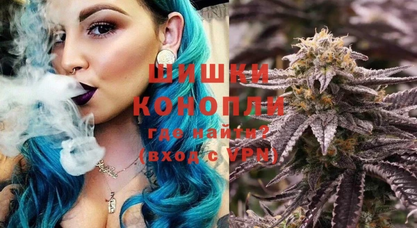 шишки Мегион