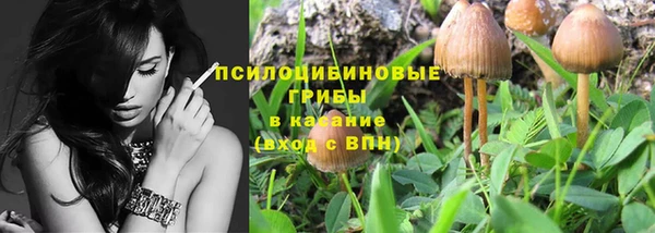 шишки Мегион