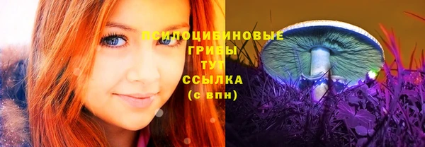 шишки Мегион