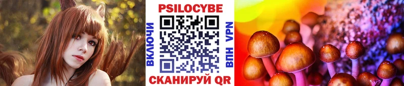 Псилоцибиновые грибы прущие грибы  Афипский 